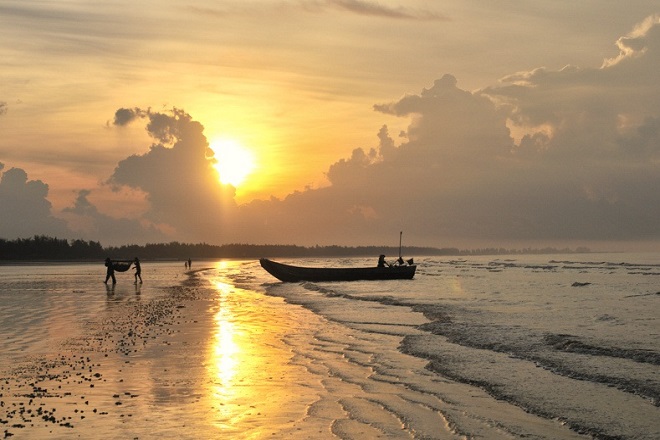 trà cổ