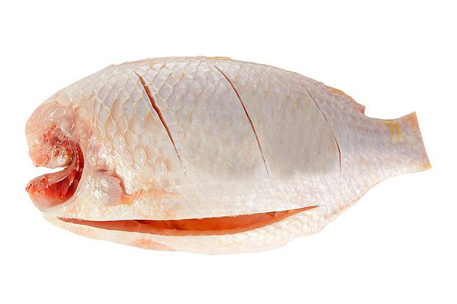 Cá diêu hồng khứa vài đường
