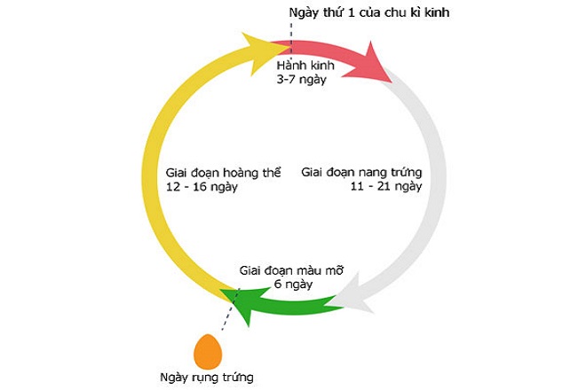 rụng trứng