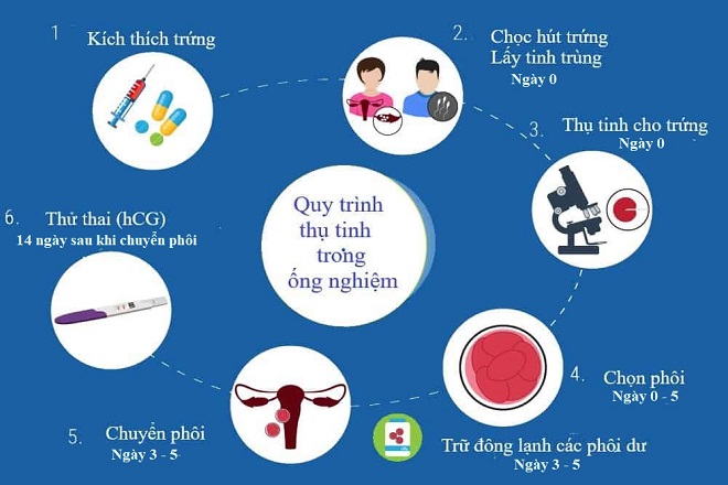 quá trình thụ tnh trong ống nghiệm