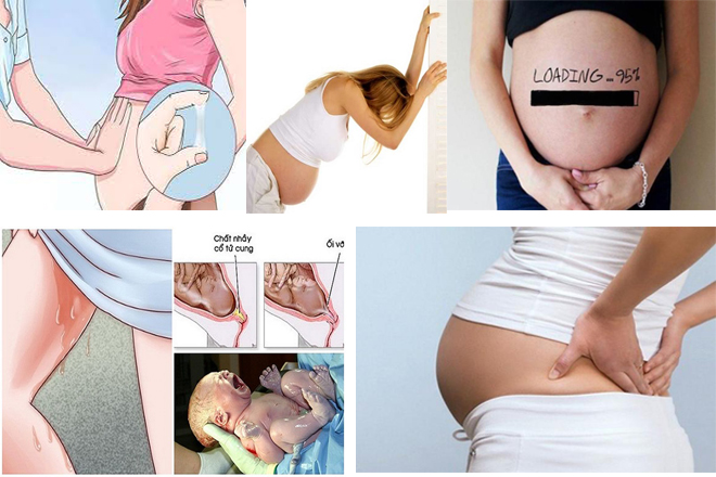 dấu hiệu sinh con