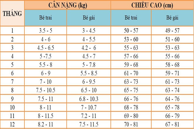 bảng chiều cao cân nặng