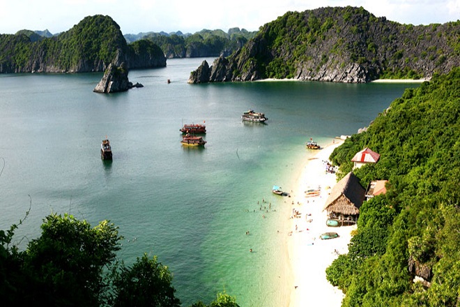 Đảo khỉ Cát Bà