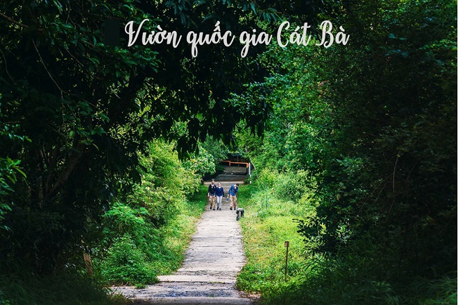 Vườn quóc gia Cát Bà