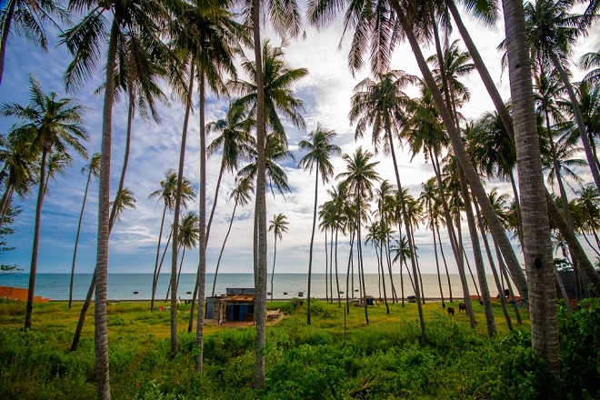bãi rạng
