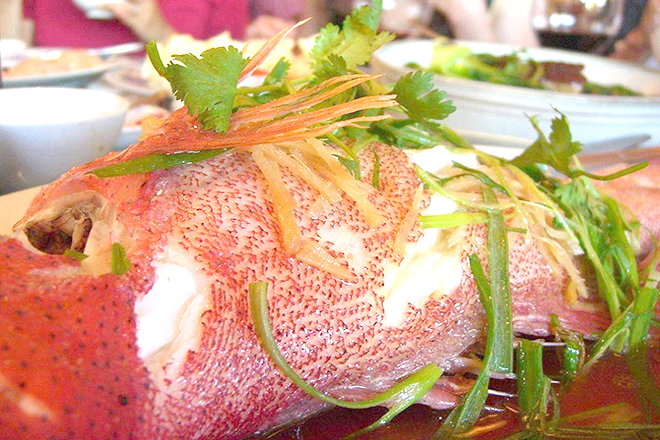 Thịt cá mú đỏ cực ngon