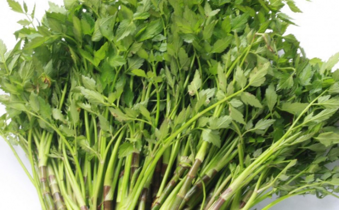 Rau cần tốt cho bà bầu