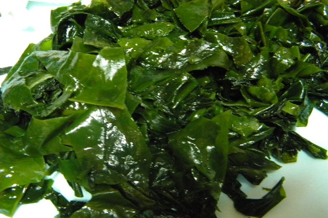 Tảo bẹ