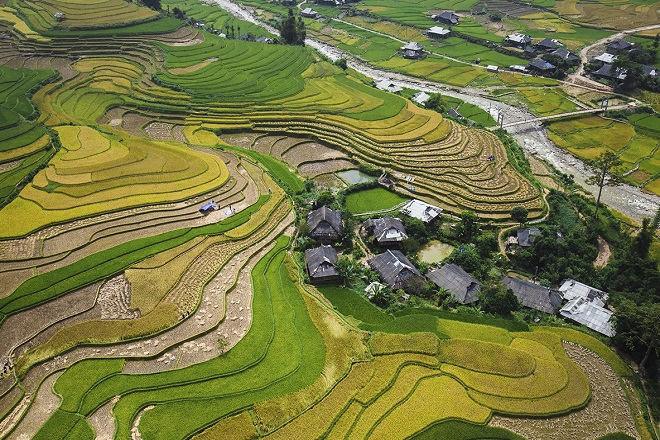 Xã Tú Lệ