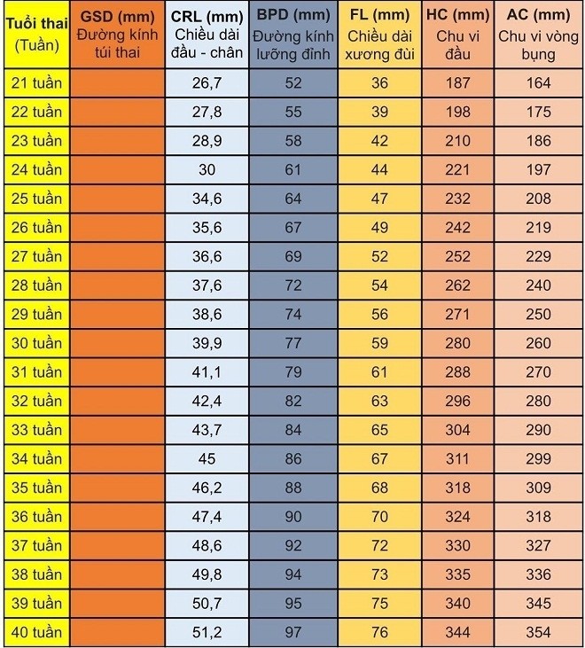 Bảng chỉ số thai nhi từ tuần 21 đến 40. Ảnh Internet