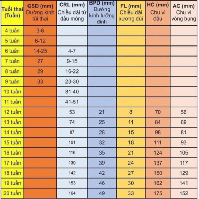 Bảng chỉ số thai nhi từ tuần 1 đến 20.