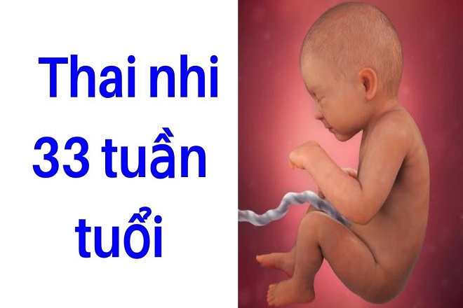 thai nhi 33 tuần tuổi