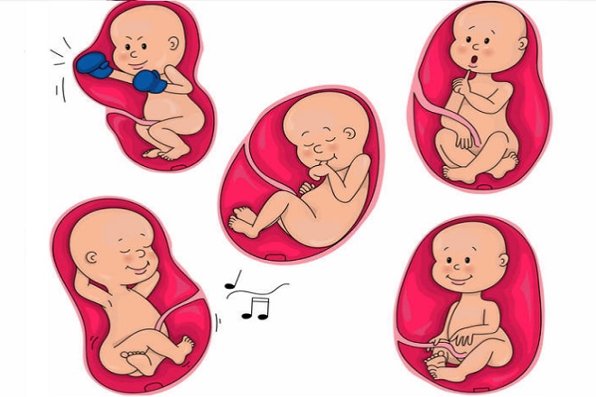 em bé đạp mẹ
