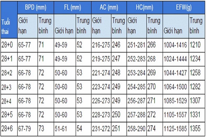 Bảng chỉ số siêu âm tuần 28
