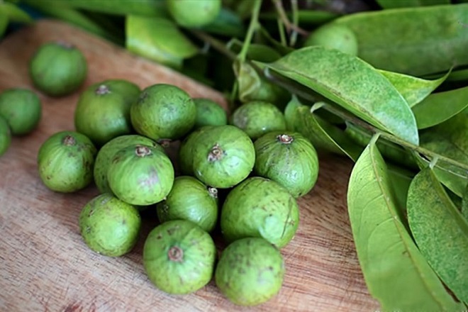 Sấu