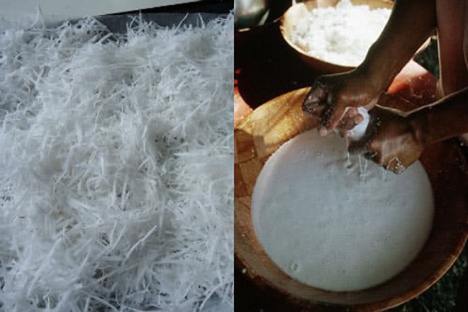 nấu dầu dừa