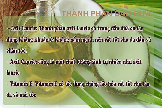 thành phần dầu dừa