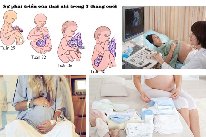 tháng cuối thai kỳ