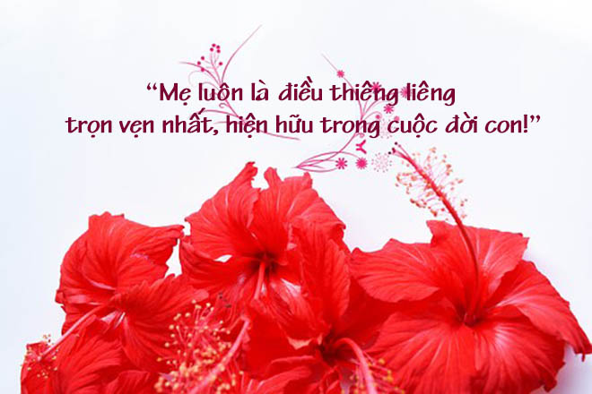 Lời nói ý nghĩa ngày của mẹ