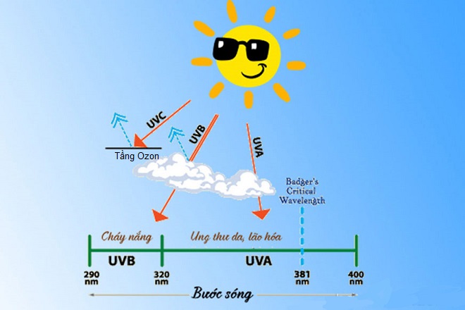 Tia UV