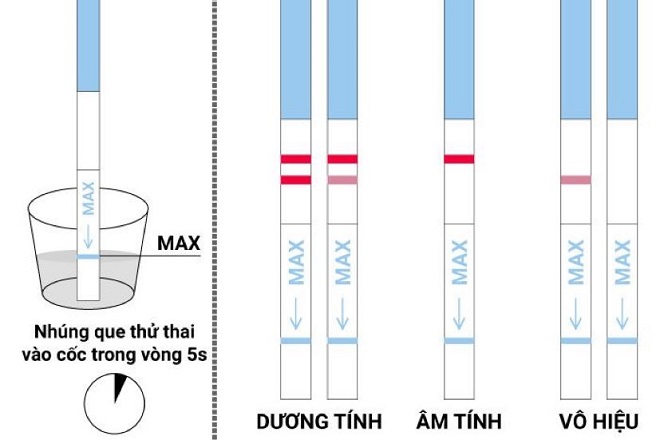 que thử thai