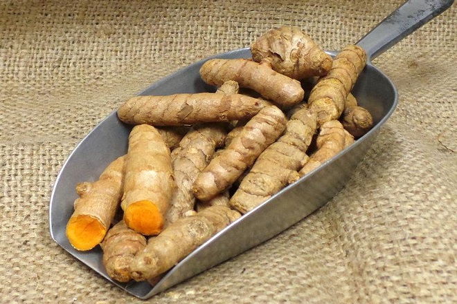 nghệ tươi