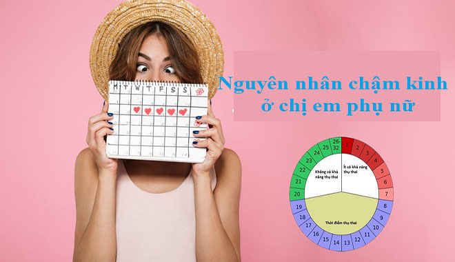 Chu kỳ kinh nguyệt