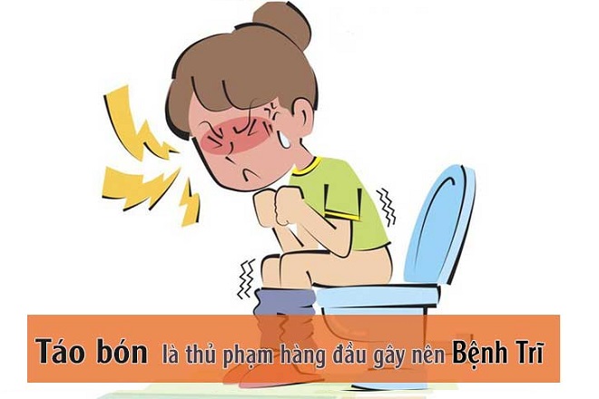 táo bón