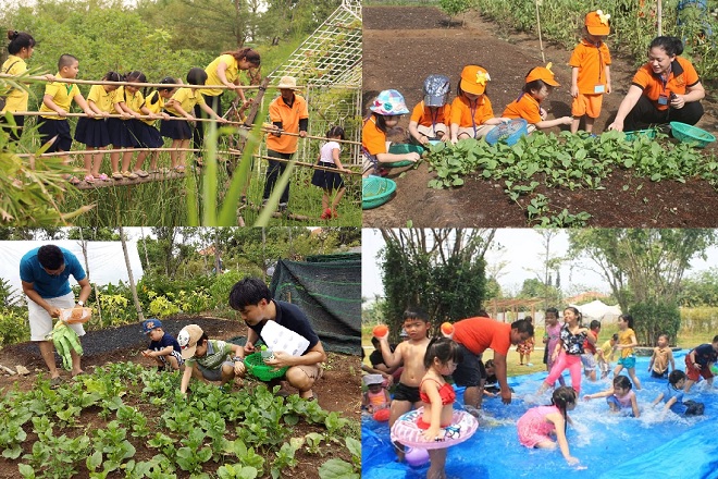 Family Garden