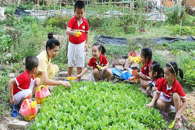 học kỹ năng