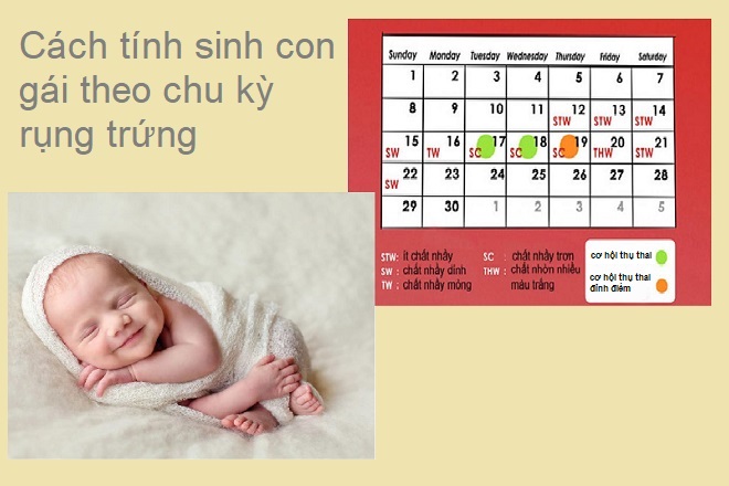 theo dõi chu kỳ rụng trứng