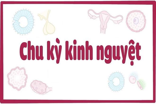 kinh nguyệt