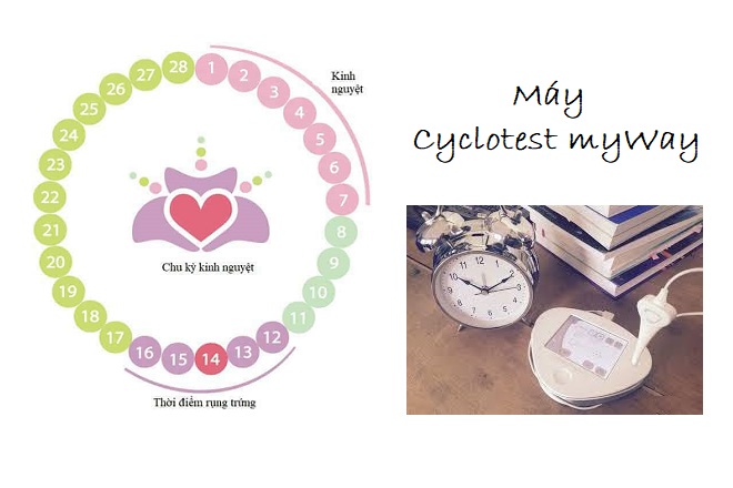 máy Cyclotest myWay