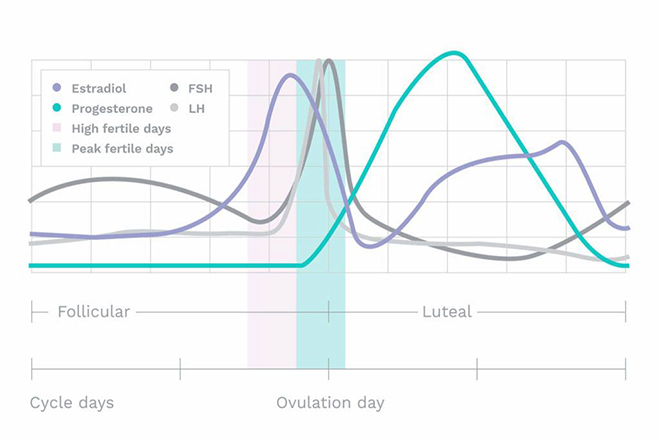 Biểu đồ Progesterone