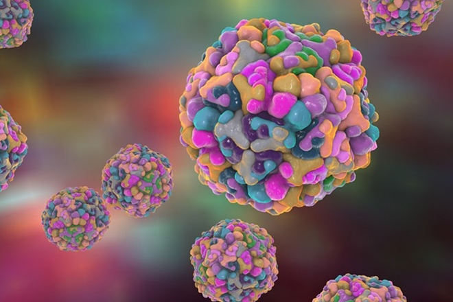 Enterovirus 71