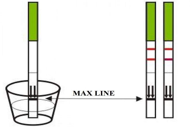 cách sử dụng