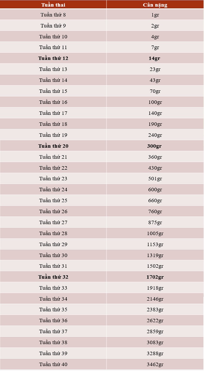Bảng cân nặng thai nhi