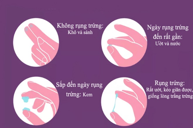 chất nhầy thay đổi
