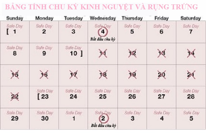 chu kỳ rụng trứng