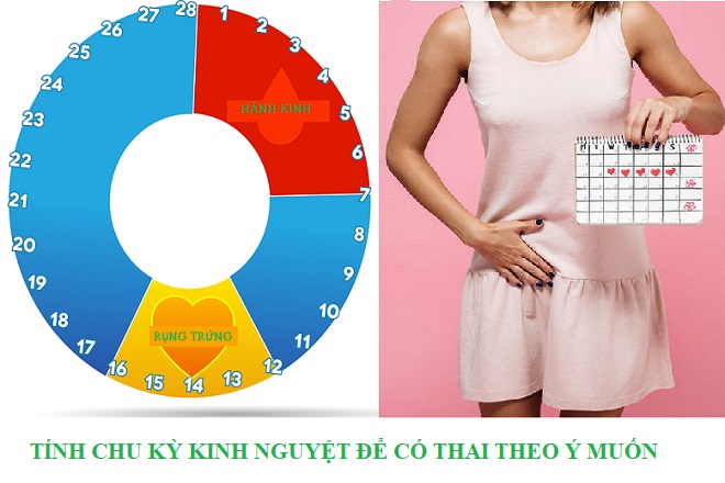 theo dõi chu kỳ kinh nguyệt