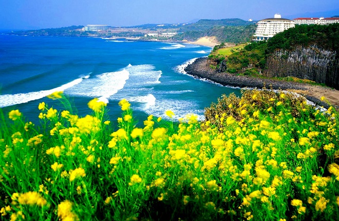 jeju