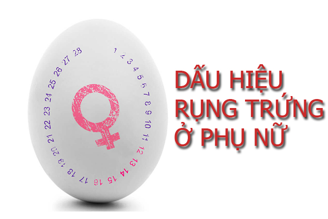 dấu hiệu rụng trứng