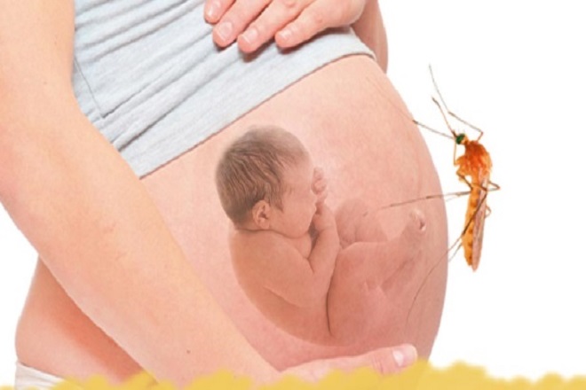 sốt xuất huyết ở mẹ