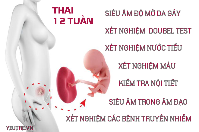 xét nghiệm thai nhi
