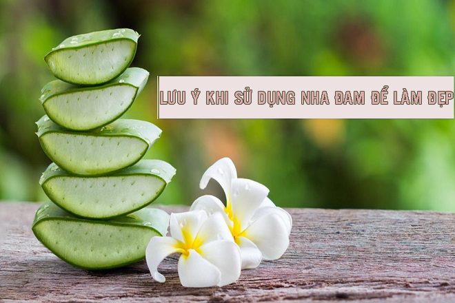 sử dụng nha đam