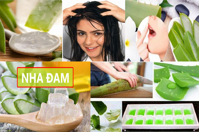 lợi ích của nha đam