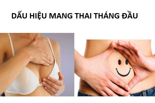 dấu hiệu mang thai tháng đầu