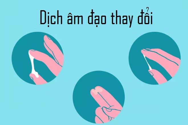 dịch âm đạo