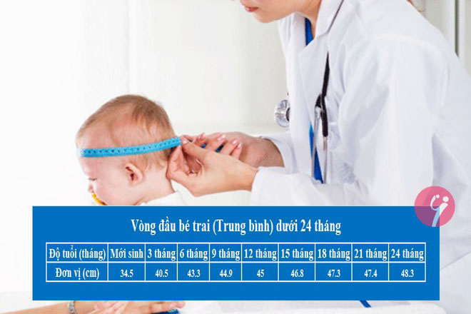 Vòng đầu của bé trai dưới 24 tháng.