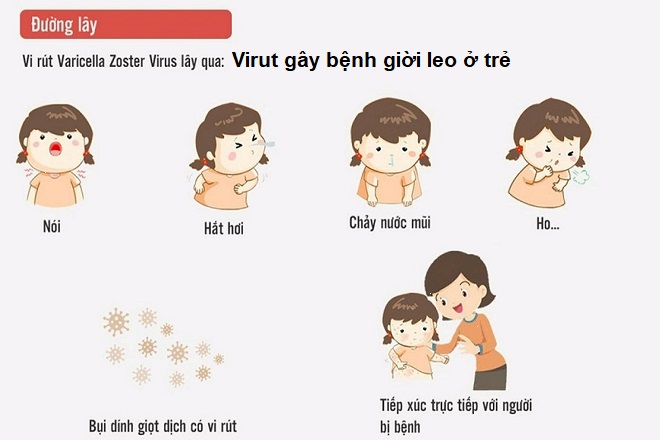 nguyên nhân gây bệnh